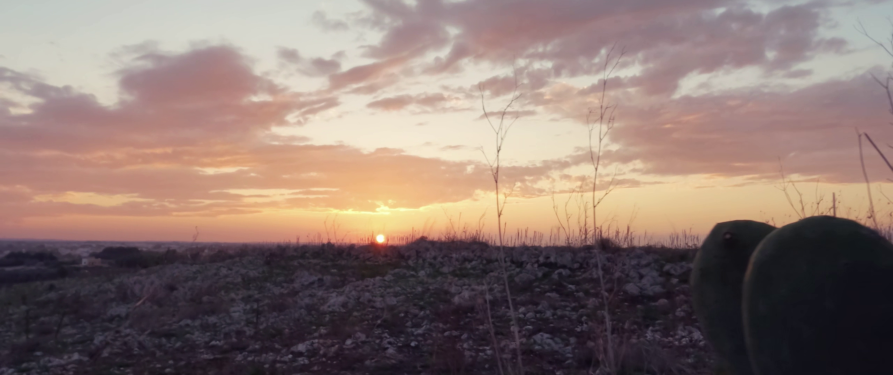 tramonti nelle campagne pugliesi
